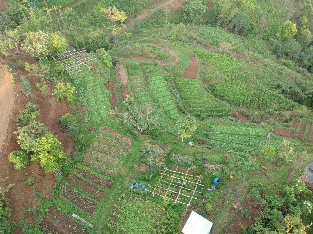 Almost Heaven Farms- field