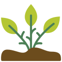 Healthy Soil